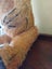 Large (58cm) Vintage Teddy Bear with Moveable Limbs Carousel 8