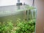 Kiwi Aqua 5Litre DIY CO2 Stainless Bottle Full Kit Carousel 8