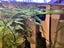 Baby Guppies - Tropical fish Carousel 4