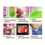 40x40cm Hydrangea Diamond Art Kit Carousel 4