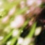 Loading Image 1 of 1