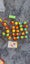 Loading Image 9 of 9