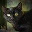 Freya 13 mths old - Cat Care Loburn Carousel 1