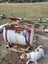 Loading Image 3 of 3