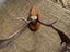 Deer Antlers Carousel 5