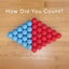How Did You Count? by Christopher Danielson - Paperback Carousel 1