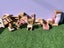 Loading Image 1 of 4