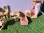 Loading Image 4 of 4