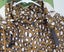 Ilse Jacobsen Raincoat Size 20 (46) Carousel 8