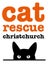 CAT RESCUE CHCH - Ready For Adoption Gabby Carousel 9