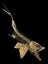 Enchodus Fossil Tooth (Prehistoric Predatory Fish) Carousel 12