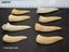 Enchodus Fossil Tooth (Prehistoric Predatory Fish) Carousel 7