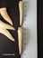 Enchodus Fossil Tooth (Prehistoric Predatory Fish) Carousel 11