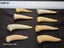 Enchodus Fossil Tooth (Prehistoric Predatory Fish) Carousel 10