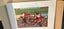 EXCLUSIVE ALL BLACKS CLUB 1996 WORLD CUP Carousel 13