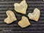 Crow Shark Fossil Tooth Carousel 5