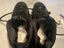 Shoes Carousel 4