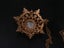 Vintage 50s 60s Signed Florenza Brooch Pendant Necklace Irridescent Star Cluster Carousel 5