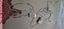 LED Light for Aquarium fish tank 2 available 90cm PUKEKOHE Carousel 6