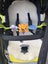 Mountain buggy Carousel 3