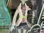 Monster High Scarah Screams I Love Fashion Carousel 7