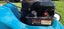 Masport 375 Model lawn mower Carousel 5