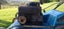 Masport 375 Model lawn mower Carousel 3