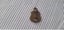 1939 Returned Sailors and Soldier Imperial League Members badge Carousel 2