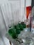 Bud Bubble Glass Vase Collection of 19 Carousel 4