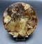 Beautiful Disc of Madagascan Ammonite Assemblage 160g Carousel 1