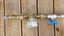 ACUFLO water meter Carousel 2