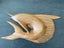 Marlin wood carving - wall plaque/sculpture Carousel 7
