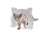 Cat Door Interior Cat Door Easy To Follow Instructions Cat Corridor Door Tu Carousel 4