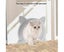 Cat Door Interior Cat Door Easy To Follow Instructions Cat Corridor Door Tu Carousel 5