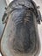 Antique look pram Carousel 5