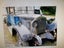 gallery view thumbnail