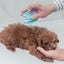 Dog Massage Bath Brush For Cleaning & Beauty Carousel 8