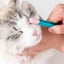 Pet Eye Cleaner And Hair Knot Brush For Cats Carousel 6