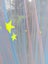 Loading Image 2 of 4