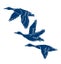 Loading Image 1 of 1