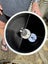8 Inch Cassegrain Cave optics F15 USA Carousel 5