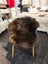 New Zealand Classic Sheepskin Rug - Single Rug Dark brown Color Carousel 4