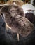 New Zealand Classic Sheepskin Rug - Single Rug Dark brown Color Carousel 5
