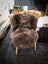 New Zealand Classic Sheepskin Rug - Single Rug Dark brown Color Carousel 6