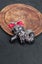 Dog brooch Carousel 1
