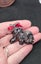 Dog brooch Carousel 2