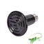 25-200W Ceramic Infrared Light Heat Emitter Lamp Reptile Brooder Incubator Carousel 3