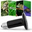 25-200W Ceramic Infrared Light Heat Emitter Lamp Reptile Brooder Incubator Carousel 5