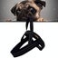 Reflective Chest Harness For Big Dogs Carousel 9