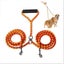 Anti Winding Double Dog Leash 1.4M Carousel 8